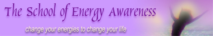 the_school_of_energy_awareness